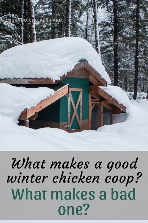 What makes a good winter chicken coop? How to pick a chicken coop for cold climates. Comparing ventilation, space and light to determine which coop your chickens will be comfortable in when it starts to snow!  #chickens #homesteading #backyardchickens Chicken Coop For Two Chickens, Diy Chicken Coop For Winter, Chicken Coop For Winter Cold Weather, Chicken Coop Ventilation Winter, Chicken Coops For Winter, Diy Chicken Coop Winter, Cold Climate Chicken Coop Designs, Diy Winter Chicken Coop, Canadian Chicken Coop