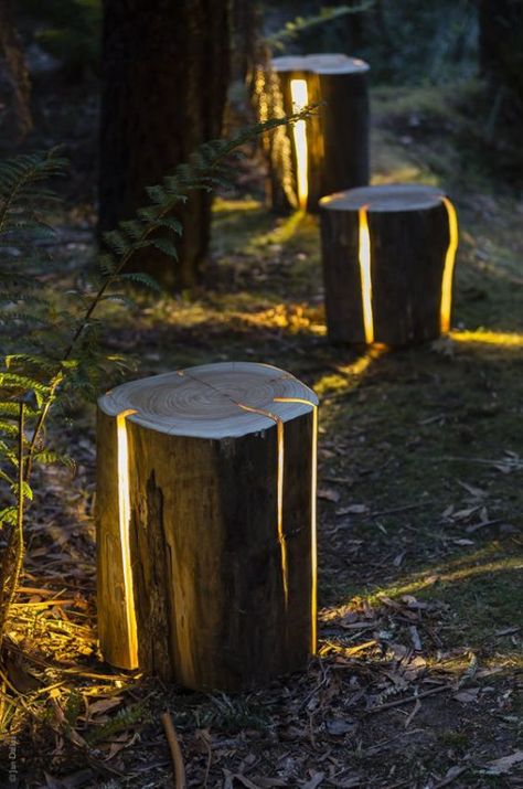 garden lighting Log Lights, Taman Diy, Jardim Diy, Tree Stumps, Barrel Furniture, Desain Lanskap, Reclaimed Wood Projects, Backyard Lighting, Wood Logs