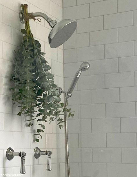 Shower Plant, Eucalyptus Shower, Fresh Eucalyptus, Dried Eucalyptus, Spa Shower, Ideas Hogar, Bathroom Plants, Bath Essentials, Bathroom Spa