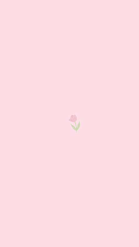 Pink Plain Background, Simple Flower Wallpaper, Pink Wallpaper Background, Flower Wallpaper Pink, Simple Phone Wallpaper, Pink Cute Wallpaper, Baby Pink Wallpaper, Aesthetic Flowers Wallpaper, Pale Pink Wallpaper