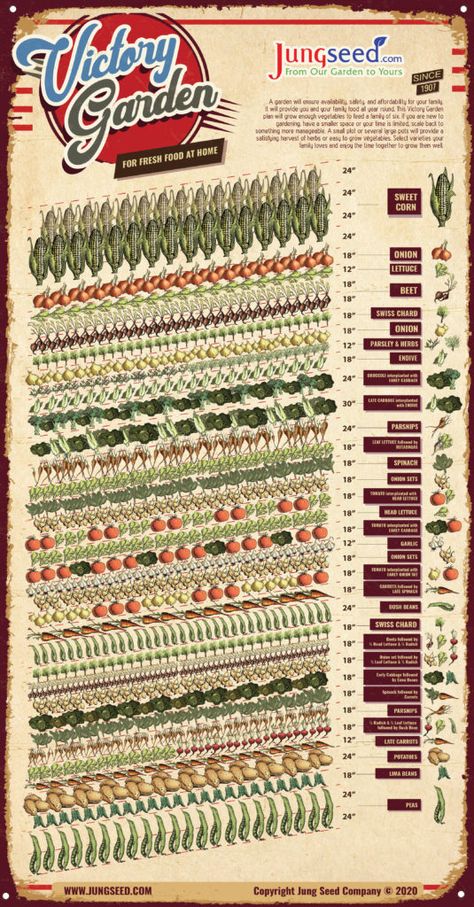 Victory Garden Plans, Vegetable Garden Layout Design, Garden Planning Layout, Small Backyard Design Ideas, Tattoo Plant, Urban Backyard, Backyard Design Ideas, Garden Layout Vegetable, Small Backyard Designs Layout