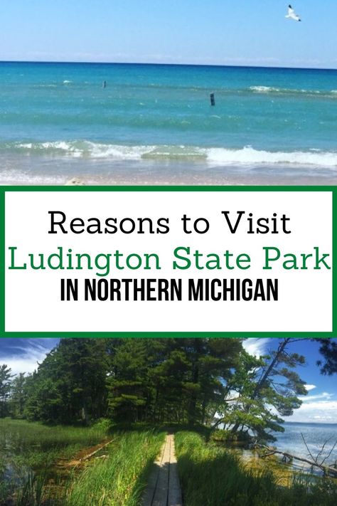 Michigan Scenery, Vacation Places In Usa, Traveling Usa, Michigan Decor, Ludington Michigan, Ludington State Park, Michigan State Parks, State Park Camping, Michigan Adventures