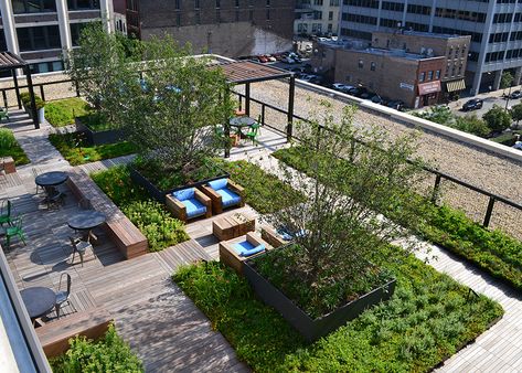 Green Roof Design, Roof Landscape, Green Roof Garden, Roof Decks, Terraced Landscaping, Roof Garden Design, Green Terrace, Rooftop Terrace Design, Rooftop Design