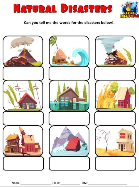 This helps students differentiate between different types of natural disasters. LTP Nature, Natural Disasters For Kids, Couples Therapy Worksheets, Toddler Math, Body Preschool, Abc Flashcards, Kids Worksheets, Worksheets For Kindergarten, Natural Disaster