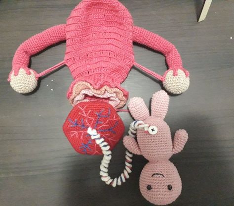 Crochet Uterus Free Pattern, Crochet Turtle Pattern Free, Crochet Turtle Pattern, Crochet Stitches Chart, Diy Crafts Crochet, Crochet Keychain Pattern, Crochet Turtle, Turtle Pattern, Crochet Design Pattern