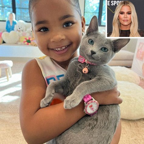 Khloé Kardashian Shares Photos of Daughter True's New Cat Following Tristan Thompson's Apology Khloe Kardashian And Tristan, Jenner Kids, Khloe K, Kloe Kardashian, Famous Kids, Kardashian Kids, Jenner Family, Tristan Thompson, Russian Blue Cat