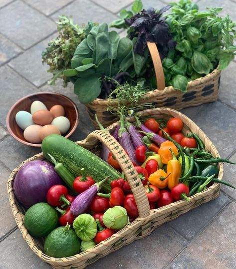 Vegetables Garden Aesthetic, Vegetable Garden Basket, Garden Harvesting Basket, Vegetable Garden Vision Board, Home Fruit And Vegetable Garden, Summer Harvest Aesthetic, Produce Garden Aesthetic, Garden Harvest Aesthetic, Fruit And Veg Garden