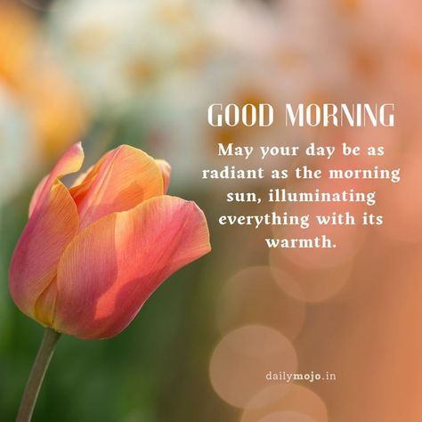 Best 60+ Good Morning Flower Images, Wishes and Quotes Good Morning Flower, Weekend Wishes, Beautiful Good Morning Wishes, Morning Tuesday, Good Morning Tuesday, Motivatonal Quotes, Beautiful Good Morning, Happy Morning Quotes, Greetings Images
