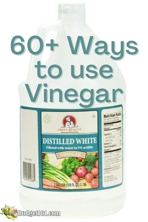 60 ways to use vinegar Multipurpose Products, Apple Cider Vinegar And Honey, Cleaning Naturally, Boiled Ham, Homemade Sour Cream, Ant Killer, Vinegar Uses, Vinegar And Honey, Life Binder