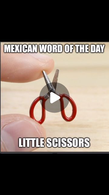 Pecos Locos on Instagram: "Mexican word of the day : Little scissors" Humour, Low Carb Recipes, Instagram, Mexican Word Of The Day, Mexican Words, Word Of The Day, Low Carb, Mexican, The Day