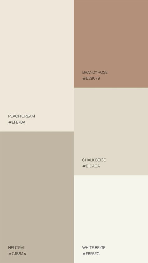 White And Neutral Color Palette, Chalk Beige Color, Beige Cream Color Palette, Neutral Colours Pallet, Luxury Neutral Color Palette, Beige And White Colour Palette, Color Pallets Neutral, White And Beige Color Palette, Beige Neutral Color Palette
