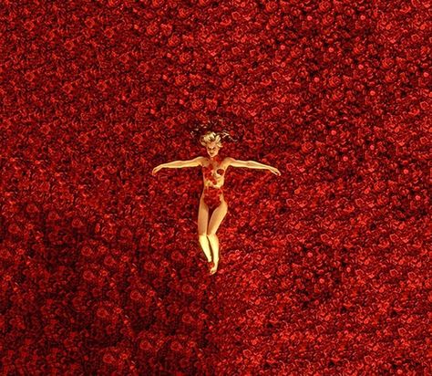 David Hasselhoff Baywatch, American Beauty Movie, John Wesley Shipp, Mena Suvari, Beauty Movie, Damien Chazelle, Robert Englund, Sam Mendes, The Dictator