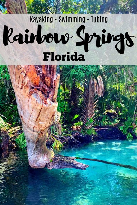 Kayaking, swimming, and tubing are all fun activities available along the Rainbow River and Rainbow Springs State Park in Dunnellon, Florida. Use this guide to plan your trip which is perfect for both the summer and winter months. Only a short drive from both Tampa and Orlando, Rainbow Springs is the perfect weekend getaway or addition to any Florida vacation. Cool off in the crystal clear water as you float with the current along Florida's lush forests. #adventure #outdoors #floridasprings Florida Trip Ideas, Crystal River Florida Things To Do, Crystal Springs Florida, Clear Water Florida, Rainbow Springs Florida, Dunnellon Florida, Winter Springs Florida, Springs In Florida, Rainbow Springs State Park