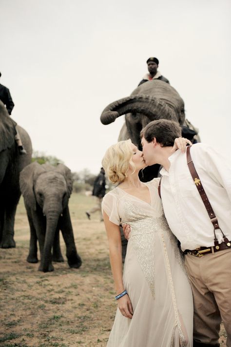 This African Safari Wedding Will Leave You Craving a Big Adventure Safari Photoshoot, South African Safari, Romantic Colors Palette, Safari Photo, Safari Wedding, Africa Wedding, Elephant Safari, Romantic Colors, Safari Style