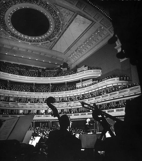 Rennes, New York Philharmonic, Classical Aesthetic Music, Carnegie Hall Aesthetic, Not Another Love Song Julie Soto, Concert Hall Aesthetic, Aesthetic Orchestra, Classic Music Aesthetic, Performer Aesthetic