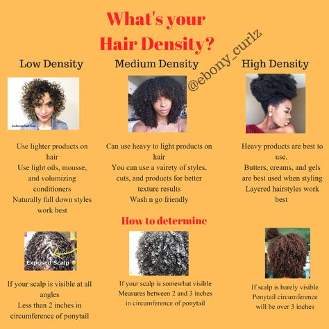 Low Prosperity Hair Vs High, How To Grow Low Porosity Hair, Hair Prosperity Test, How To Find Your Hair Type, Low Density Curly Hair, Low Density Hair, 4c Haircare, High Density Hair, Low Porosity Hair Care