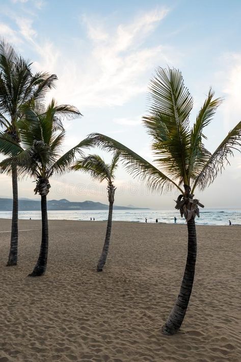 Playa de Las Canteras - beautiful beach in Las Palmas de Gran Canaria stock image Maspalomas, Grand Canaria, Cruise Holidays, Summer 22, Canary Islands, Travel List, Black Wallpaper, Beautiful Beaches, Wonders Of The World