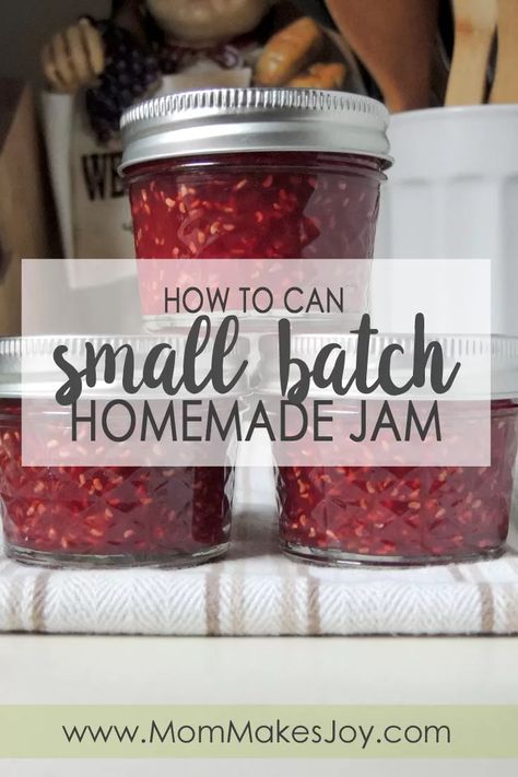 Apartment Homestead, Suburban Apartment, Small Batch Jam, Jam Preserves, Raspberry Freezer Jam, Jam Canning, Fruit Butters, Canning Jam Recipes, Batch Baking