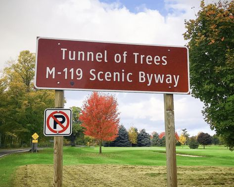 Tunnel Of Trees Michigan, Tunnel Of Trees, Michigan Map, Village Park, Michigan Road Trip, Scenic Train Rides, Michigan Summer, Michigan Vacations, Scenic Road Trip