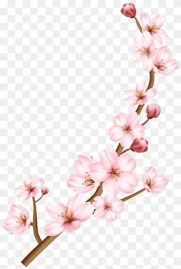 Cherry Blossom Cartoon, Tree Illustration Design, Cherry Blossom Png, Tree Trunk Drawing, Flowers Cherry Blossom, Cherry Blossom Vector, Cherry Blossom Drawing, Sparkly Background, Cherry Blossom Petals