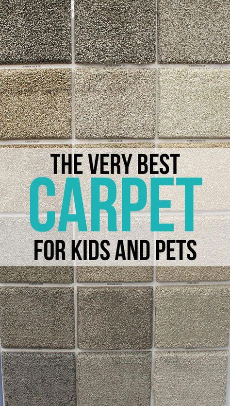 Basement Carpet, Neutral Carpet, Hall Carpet, Carpets For Kids, Carpet Ideas, Kids And Pets, Carpet Trends, Buying Carpet, Cheap Carpet Runners