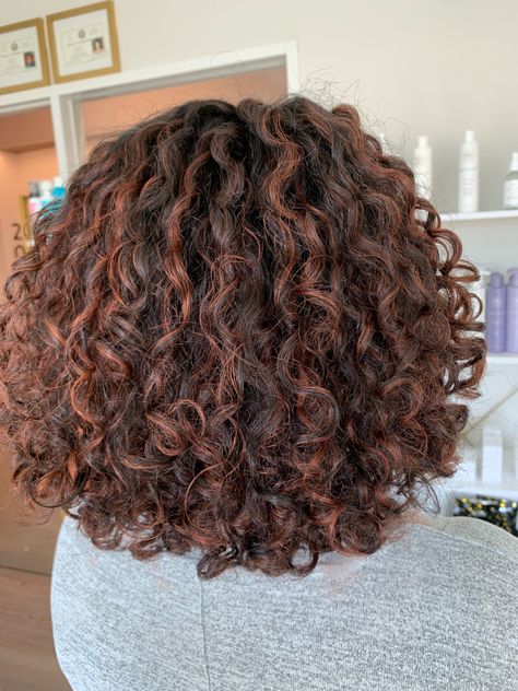 Photo of the back of a head. Shoulder length curly hair with copper highlights on dark brown hair. Curly Brown Hair Color Ideas, Cowgirl Copper On Curly Hair, Cowboy Copper On Curly Hair, Curly Highlights On Black Hair, Auburn Copper Highlights In Brown Hair, Red Copper Hair Color Curly, Copper Highlights On Black Hair Curly, Brown Short Curly Hair With Highlights, Auburn Copper Highlights