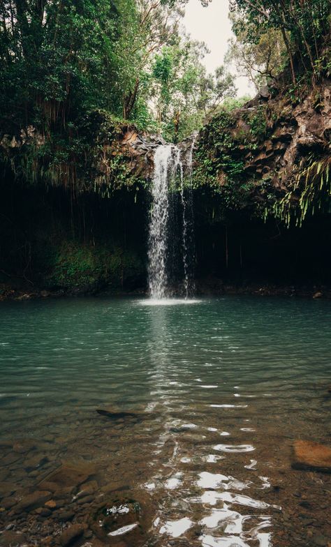 Nature, Hiking Waterfall Aesthetic, Waterfall Hawaii, Maui Hawaii Aesthetic, Maui Waterfalls, Twin Falls Maui, Falls Aesthetic, Waterfall Aesthetic, Hawaii Waterfalls