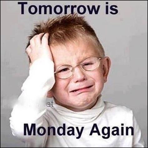 Tomorrow is Monday again! James is always asking if its Friday yet. Starts Monday afternoon, and all week long. "Is it the weekend yet?" Tomorrow Is Monday, Monday Again, Hate Mondays, Weekend Quotes, Friday Quotes Funny, Monday Humor, Happy Sunday Quotes, Funny Quotes For Kids, Monday Quotes