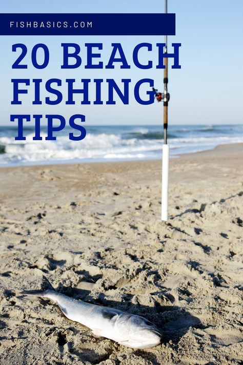 Shore Fishing Saltwater, Surf Fishing Tips, Fishing Tips And Tricks, Surf Fishing Rigs, Fish Chart, Outdoor Hobbies, Best Fishing Lures, Florida Fishing, Family Fishing