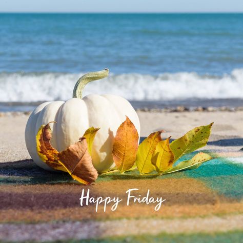 Happy Friday Fall At The Beach, Sicilian Decor, Coastal Fall, Thanksgiving Pictures, Enjoy The Day, Holiday Painting, Fabulous Fall, Fall Pictures, Flower Phone Wallpaper