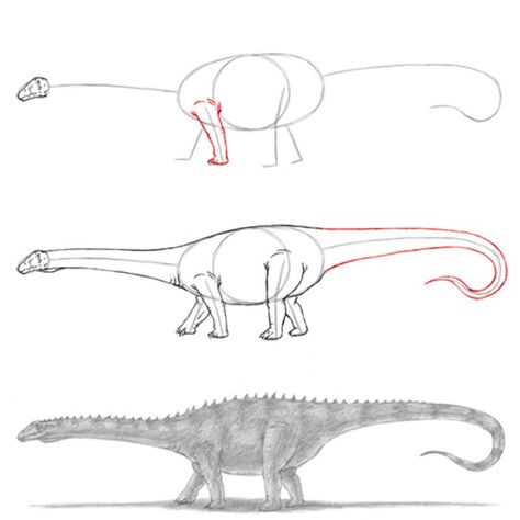 Croquis, Diplodocus Drawing, Dinosaur Stuff, Dinosaur Pencil, Dino Drawing, Dinosaur Sketch, Drawing Instructions, Dinosaur Drawing, Eagle Pictures