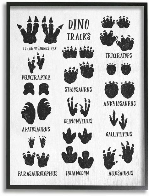 Amazon.com: Stupell Industries Children's Rustic Dinosaur Track Chart with Text, Designed by Daphne Polselli Wall Art, 11 x 14, Black Framed: Home & Kitchen Dinosaur Art Projects, Dino Tracks, T-rex Art, Dinosaur Projects, Dinosaur Tracks, Dinosaur Art, Tyrannosaurus Rex, Art Kids, Stupell Industries