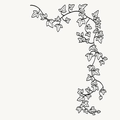 Ivy Border Vector Art, Icons, and Graphics for Free Download Drawing Of Vines And Flowers, Leafy Vines Drawing, Drawing Ivy Vines, Ivy Line Drawing, Ivy Painting Vines, Ivy Border Drawing, Leaf Vine Drawing Tattoo, Ivy Tattoo Black And White, Map Border Design