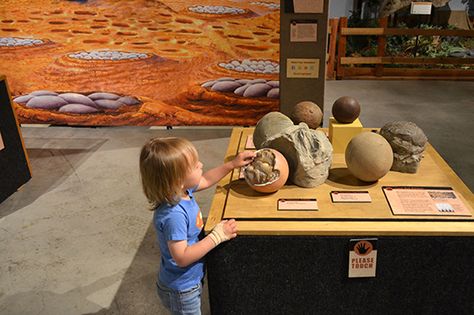 Travel Alberta, Dinosaur Exhibition, Dinosaur Museum, Minerals Museum, Tiny Titans, Dinosaur Eggs, Natural History Museum, Museum Exhibition, History Museum