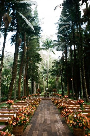 Lets get married in a jungle now shall we? #Jungleweddings Forest Wedding, Wedding Ceremony Ideas, Unique Destination Wedding, Smallest Wedding Venue, Wedding Scene, Destination Wedding Locations, Outdoor Venues, Wedding Aisle, Big Wedding