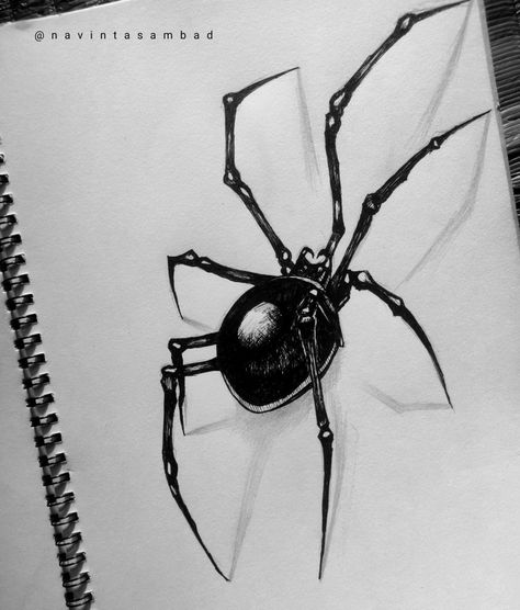 Pen Spider Drawing, Spider Web Drawing Realistic, 3d Spider Drawing, Spider Pen Drawing, Spider Ink Drawing, Spider Reference Drawing, Realistic Spider Drawing, Spiders Sketch, Drawings With Black Pen