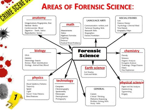 Forensic Pathology Career, Forensic Science College, Forensic Science Studying, Forencis Science, Criminology Notes Forensic Science, Dream Job Aesthetic Forensic Science, Forensics Notes, Forensic Tattoo, Forensic Science Notes