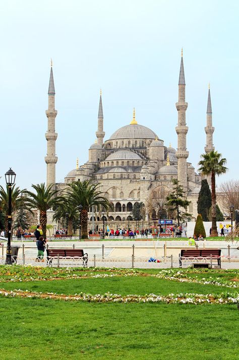 Mosque Architecture, Islamic Architecture, Sultan Ahmed Mosque, Blue Mosque, Blue Tiles, Interior Photo, Ottoman Empire, Stock Photography Free, Istanbul Turkey