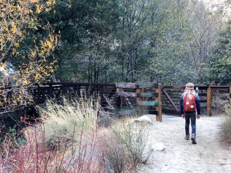 Overnight Backpacking, Crystal Cove State Park, Pine Valley, California Camping, Backcountry Camping, Pine Lake, Backpacking Tent, San Jacinto, Camping Area