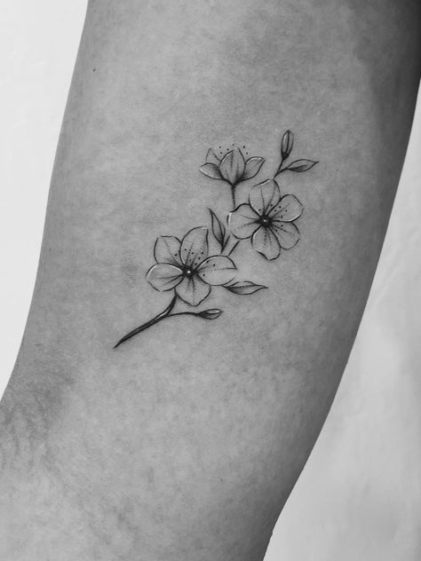 black and white cherry blossom tattoo on the right bicep Cherry Blossom Branch Tattoo Black, Black Blossom Tattoo, Black And White Tattoos Flowers, Simplistic Cherry Blossom Tattoo, Beautiful Flower Tattoos Black And White, Cherry Blossom Flower Tattoo Design, Tattoo Blossom Cherry, Black And White Ink Flower Tattoo, Cherry Blossom Tattoos Black And White