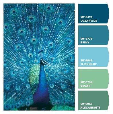 Peacock Colour Palette, Peacock Decor, Color Schemes Colour Palettes, Paint Color Palettes, Pallet Painting, Color Palette Design, Colour Pallette, Color Balance, Colour Pallete