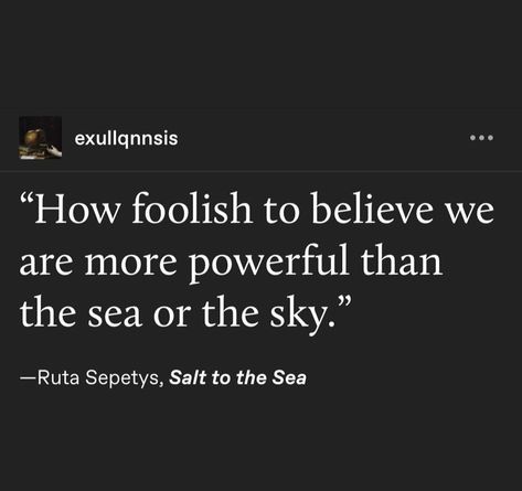 Salt To The Sea Quotes, Poetry About The Sea, Salt To The Sea Aesthetic, Ruta Sepetys Quotes, Salt To The Sea Fanart, Salt To The Sea Book, The Starless Sea Aesthetic, Ela Aesthetic, 1am Thoughts