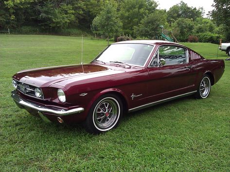 Classics 65 Mustang Fastback, 70s Rockstar, Burgundy Car, Mustang 65, Random Vintage, 65 Mustang, Old Vintage Cars, Eldest Daughter, Dead Girl