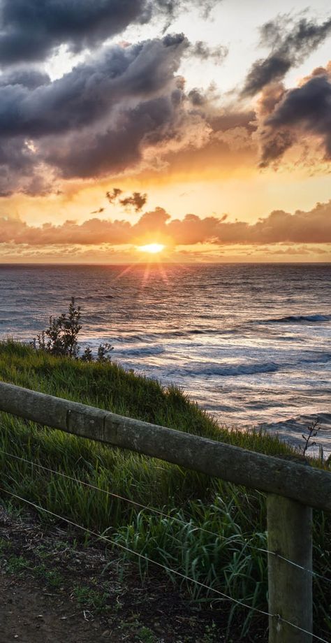 Muriwai Beach, Auckland, New Zealand New Zealand Sunset, Muriwai Beach, New Zealand Beach, Visit New Zealand, Auckland New Zealand, New Caledonia, Beautiful Sunrise, South Island, Small Island