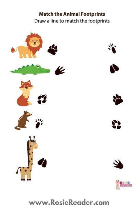 Animal Footprints Activities, Animal Tracking Activities For Kids, Animal Footprints Printable, Animal Tracks Activities, Animals Footprints, Forest Preschool, Mazes For Kids Printable, Bible Study Worksheet, Animal Footprints