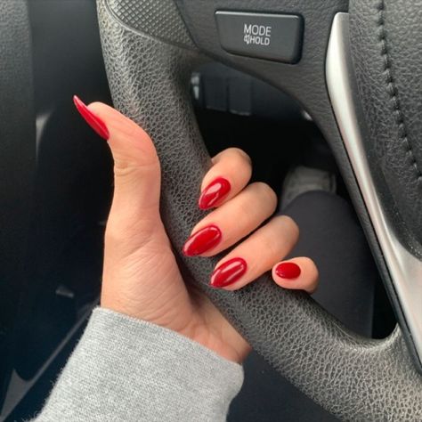 Red nails is always about passion. I always have them when whether starts to cooling down and nights longer. Red Winter Nails Almond, Long Almond Red Acrylic Nails, Fall Red Acrylic Nails, Nail Inspo Red Almond, Carmine Red Nails, Hot Red Almond Nails, Red Pointed Almond Nails, Medium Almond Red Nails, Red Gel Almond Nails