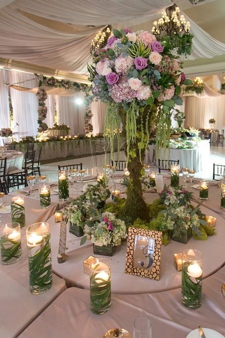 Log Moss and Woods for Wedding Centerpiece | 1000+ ideas about Secret Garden Theme on Pinterest | Garden Theme ... Lemon Centerpiece, Enchanted Forest Quinceanera Theme, Enchanted Forest Quinceanera, Green Quinceanera Theme, Enchanted Forest Prom, Enchanted Forest Decorations, Moss Centerpieces, Quince Decor, Quince Themes