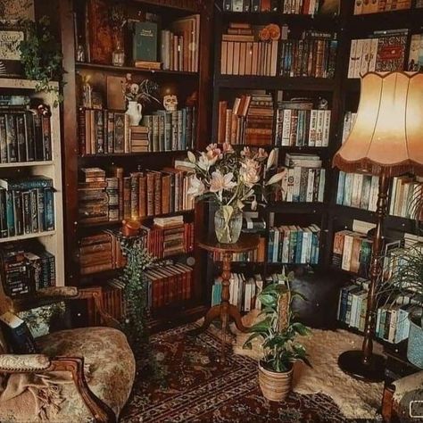 Dream Library, Women Cave Ideas, Vintage Library Aesthetic, Women Cave, Cozy Home Library, Corners Design, Women's Retreat, Bg Design, Library Room