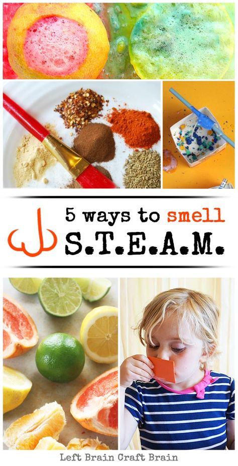 5 Ways to Smell STEAM Steam For Preschoolers, Steam For Preschool, Preschool Technology, 5 Senses Preschool, Mlk Crafts, 5 Senses Activities, All About Me Crafts, Art And Math, Zoo Crafts