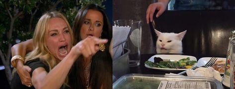 Woman Yelling at a Cat HD meme upscale | Woman Yelling at a Cat | Know Your Meme Woman And Cat Meme, White Cat Meme, Taylor Armstrong, Meme Chat, Woman Meme, Cat Template, Cat Crying, Funny Poses, Kyle Richards